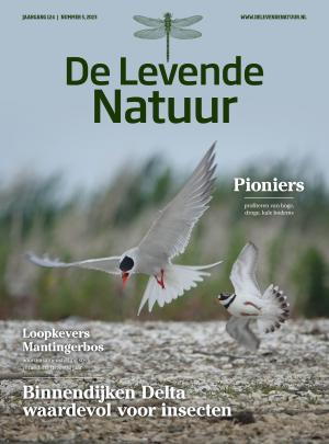 Cover DLN 05 2023