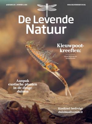 Cover 4 2025