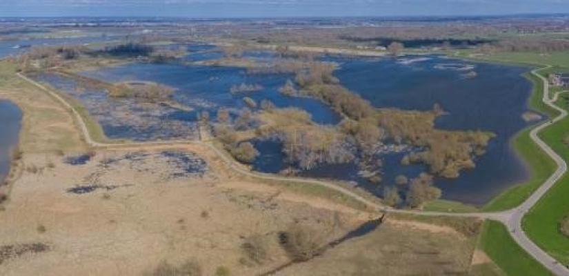 Overstromingsvlakte Buiten Ooij bij Nijmegen. Rechts de winterdijk, links de Waal en een gegraven nevengeul. Foto: Remco Versluijs