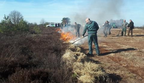 Gecontroleerd afbranden op de Mechelse heide | foto Marijke Thoonen