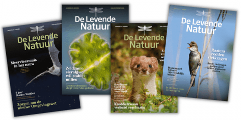 Vovers De Levende Natuur