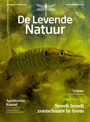 Nieuwe cover DLN 6