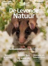 DLn Cover 5 2022